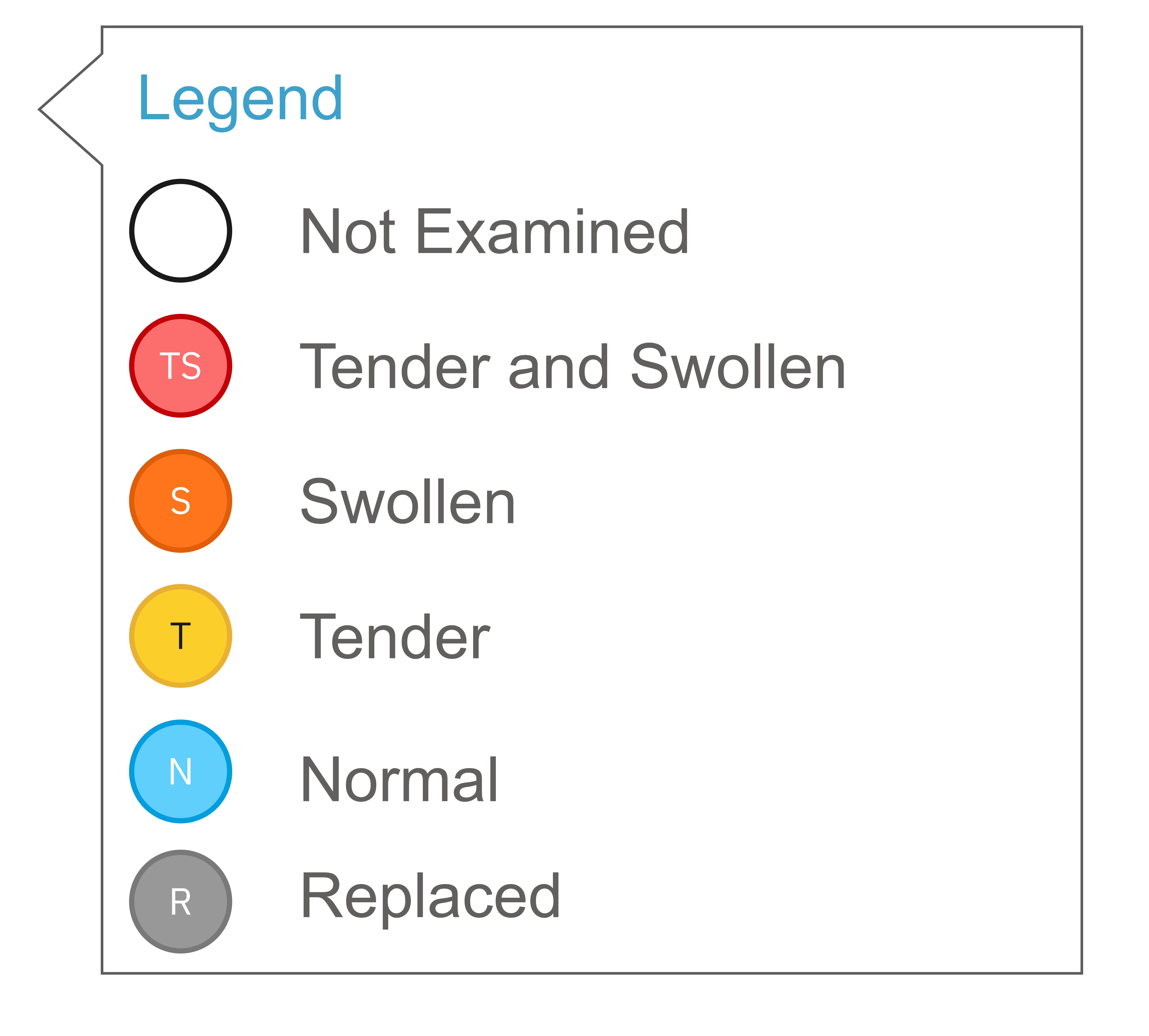 Legend artifact defining not examined, tender and swollen, swollen, tender, normal, and replaced joint states.